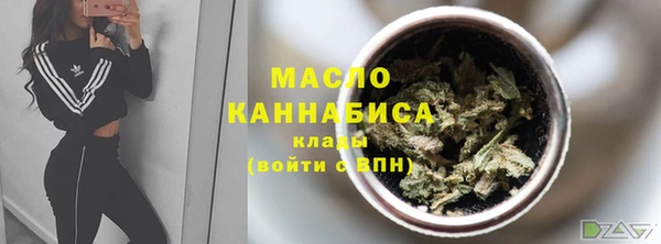 молекула духа Инта