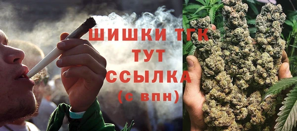 молекула духа Инта