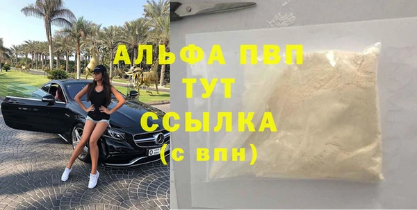 стаф Иннополис