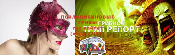 стаф Иннополис