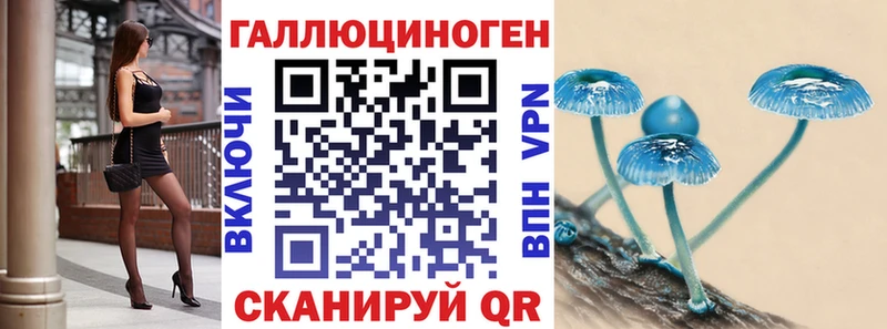 Купить  Елец  Псилоцибиновые грибы Cubensis